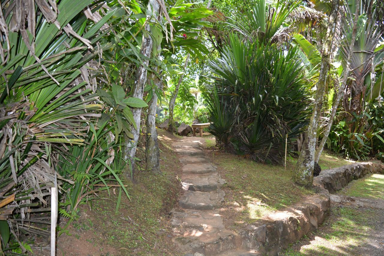 Rainforest Eco Lodge Suva Exterior foto