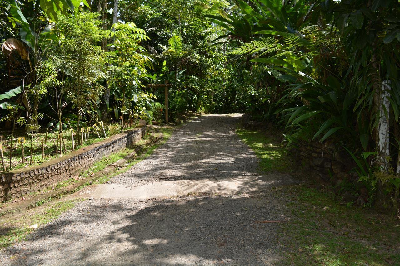 Rainforest Eco Lodge Suva Exterior foto