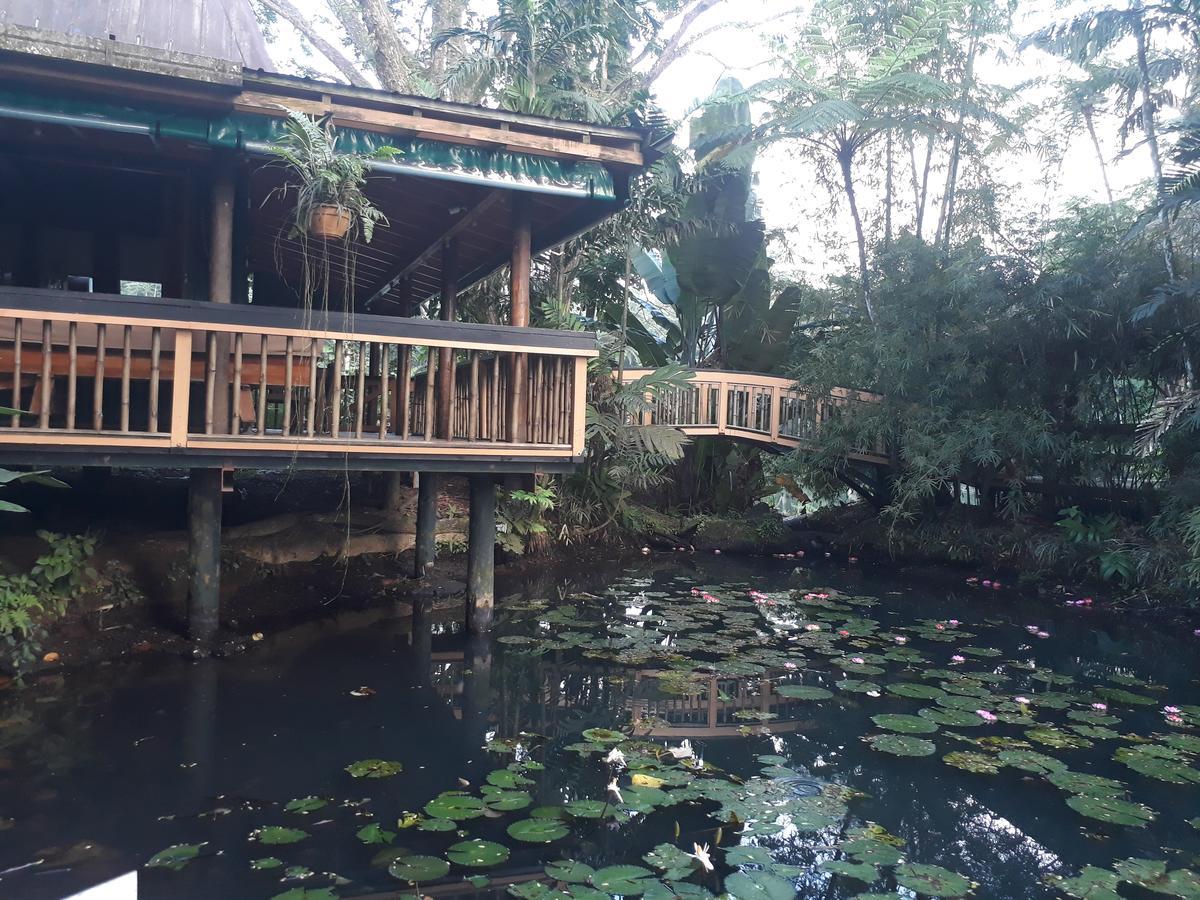 Rainforest Eco Lodge Suva Exterior foto